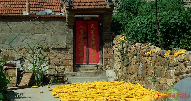 杜海轩保鲜袋.jpg