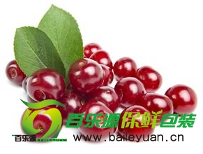樱桃1.jpg