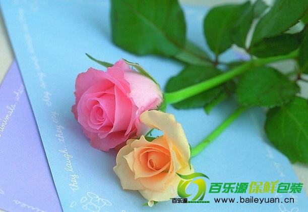 鲜花保鲜