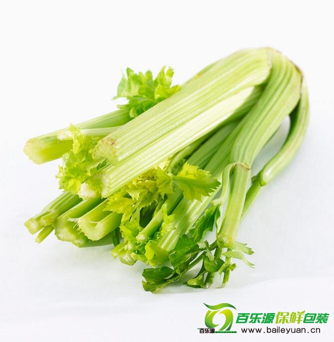 芹菜如何保存才新鲜