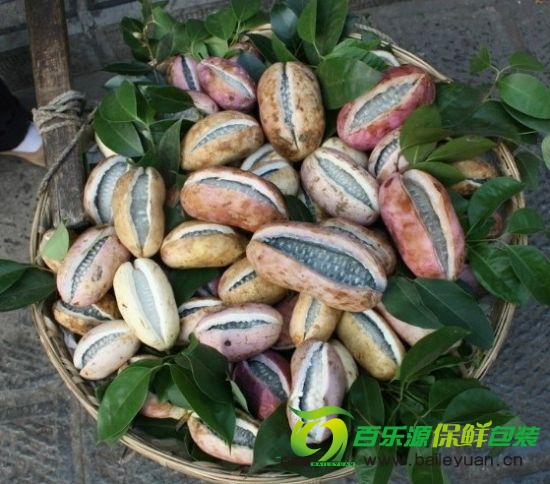 野香蕉药用价值