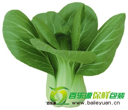 新鲜油菜买回家怎么保鲜？